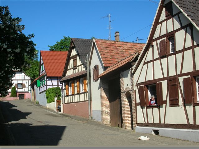 Corps de fermes et maisons alsaciennes